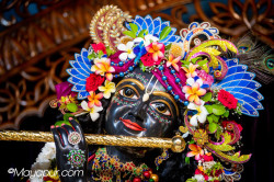 Daily Darshan