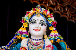 Daily Darshan