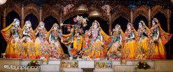 Daily Darshan