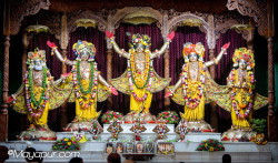 Daily Darshan