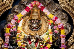 Daily Darshan