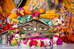 Daily Darshan