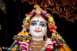 Daily Darshan