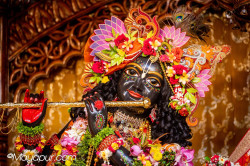 Daily Darshan