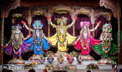 Daily Darshan