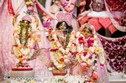 Daily Darshan