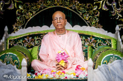 Daily Darshan