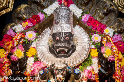 Daily Darshan