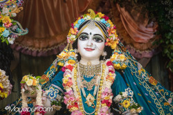 Daily Darshan