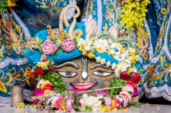 Daily Darshan