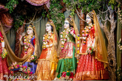 Daily Darshan