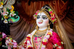 Daily Darshan