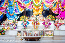 Daily Darshan