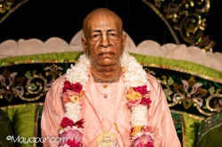 Daily Darshan