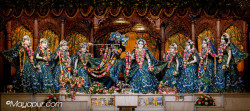 Daily Darshan