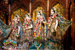 Daily Darshan