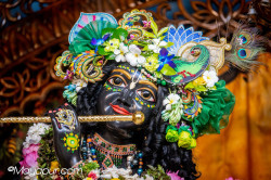 Daily Darshan