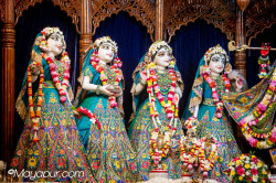 Daily Darshan