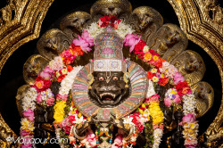 Daily Darshan