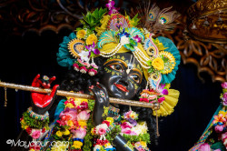 Daily Darshan