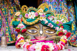 Daily Darshan