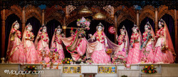 Daily Darshan