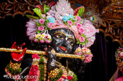 Daily Darshan