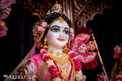 Daily Darshan