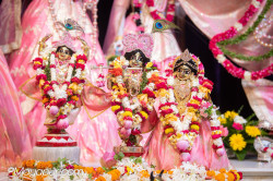 Daily Darshan