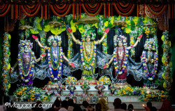 Daily Darshan