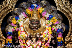 Daily Darshan