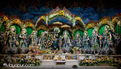 Daily Darshan
