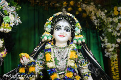 Daily Darshan