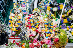 Daily Darshan