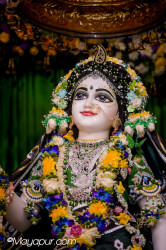 Daily Darshan