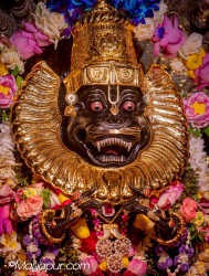 Daily Darshan