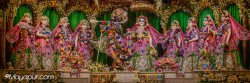 Daily Darshan