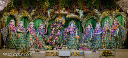 Daily Darshan