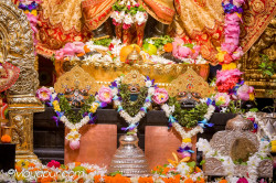 Daily Darshan