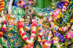 Daily Darshan
