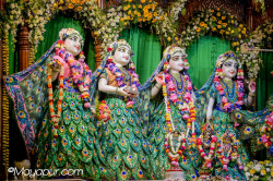 Daily Darshan