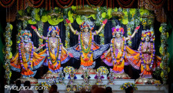 Daily Darshan