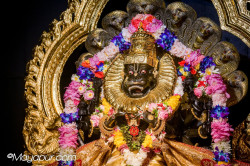 Daily Darshan