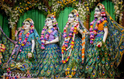Daily Darshan