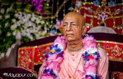 Daily Darshan