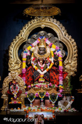 Daily Darshan