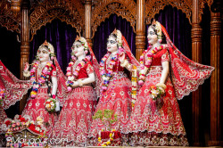 Daily Darshan