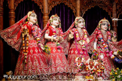 Daily Darshan