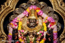 Daily Darshan