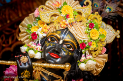 Daily Darshan
